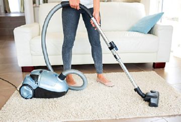 Як швидко і ефективно позбутися від домашніх бліх у квартирі