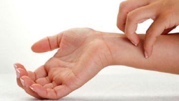 Скорпіон leiurus quinquestriatus: особливості, небезпека для людини, лікування укусу