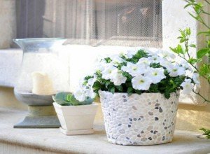 Як зробити кашпо і горщики для петуній своїми руками: прості і оригінальні ідеї для прикраси саду, покрокові фото і відео