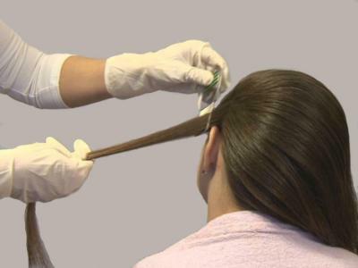 Народні засоби від вошей – правила використання