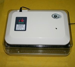 Китайські автоматичні інкубатори: технічні характеристики, виробники і ціни