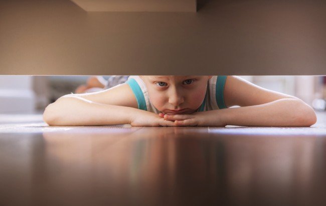 Клопи і таргани: як позбутися непроханих гостей в будинку?