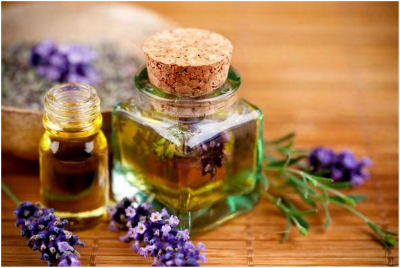 Харчова моль: як позбутися цієї комахи?