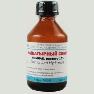 Чого бояться таргани: запахи, що відлякують тарганів