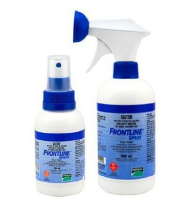 Пухоеды у хвилястих папуг: основні симптоми і лікування