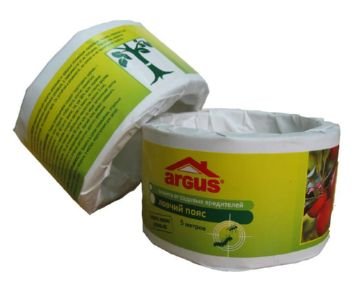 Як вибрати і встановити клейовий ловчий пояс для плодових дерев