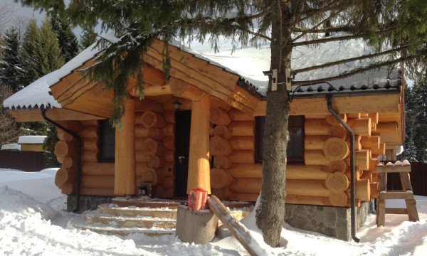 З яких видів деревини краще будувати одноповерхові деревяні будинки