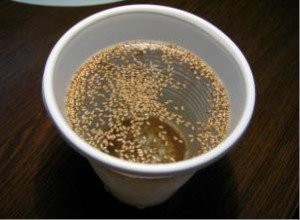 Підгодівля петунії в домашніх умовах: вибираємо добрива для насіння і розсади грамотно