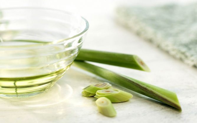 Як позбутися від комарів на дачі