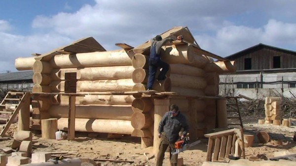 Особливості будинків з дикого зрубу