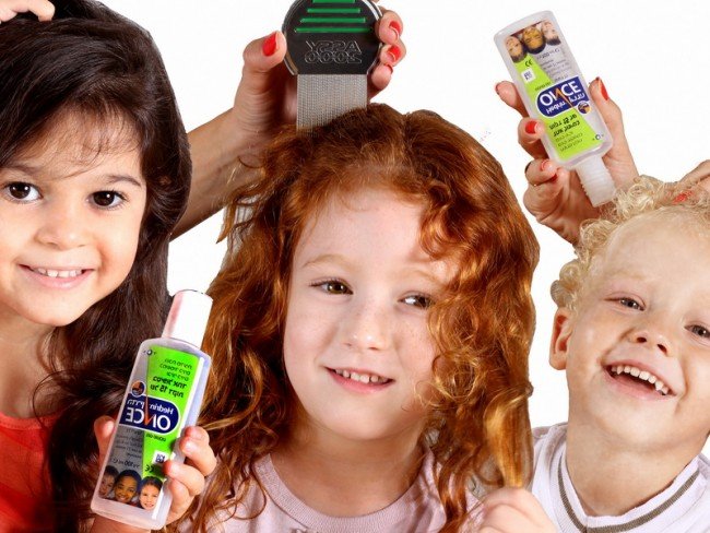 Педикульоз або як вивести вошей — перевірені поради