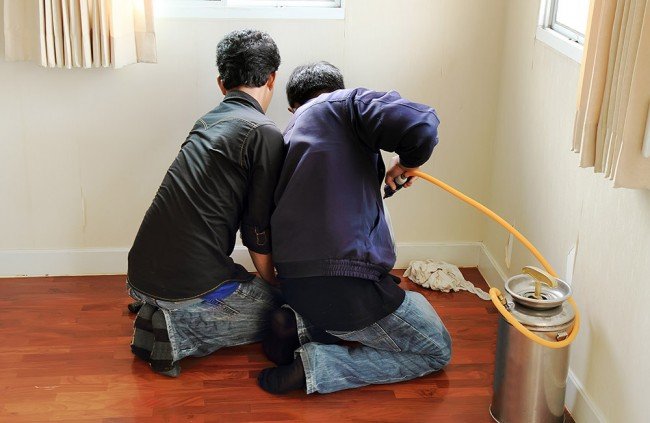 Цькування клопів — Виходимо на стежку війни і перемагаємо!