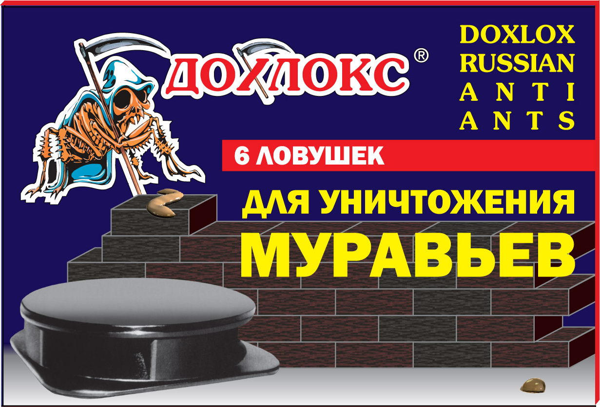 Мурахи в будинку, як позбутися в домашніх умовах