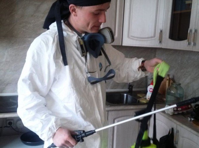 Служби дезінфекції клопів: скільки коштує і як підготувати квартиру