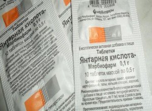 Підгодівля петунії в домашніх умовах: вибираємо добрива для насіння і розсади грамотно