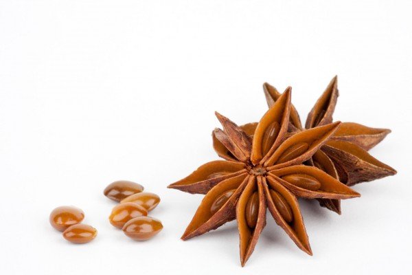 Домашні мурахи як позбутися від них самостійно назавжди