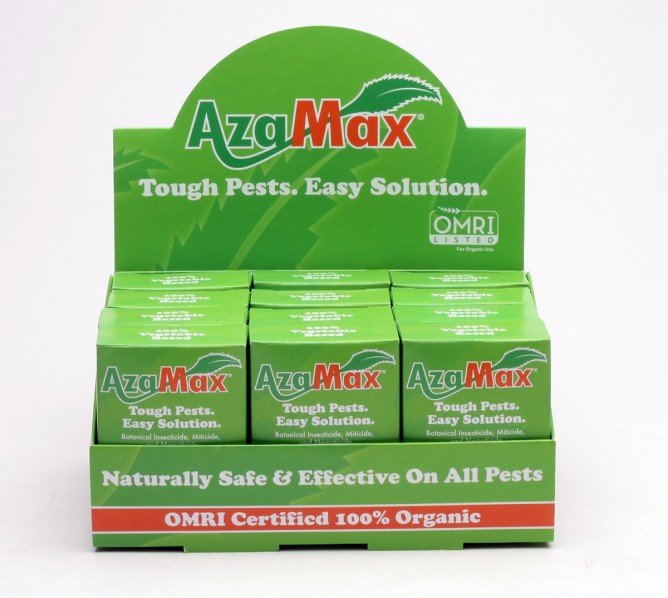 Павутинний кліщ: як з ним боротися