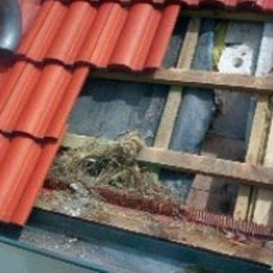 Карнизний звис своїми руками