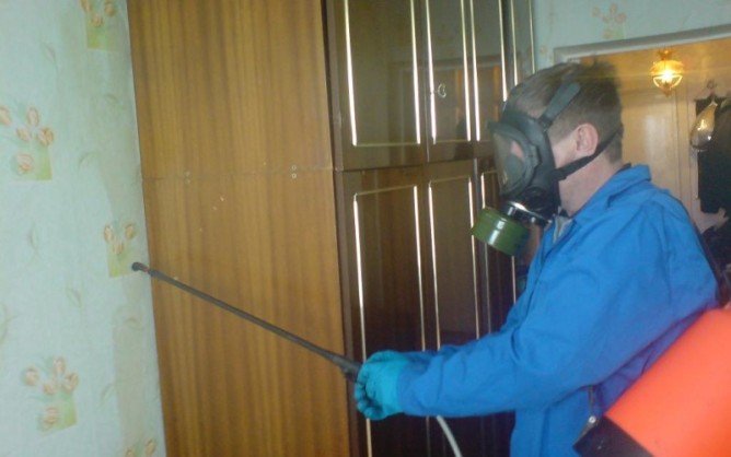 Що робити, якщо сусіди труять клопів і клопи перебігають до вас