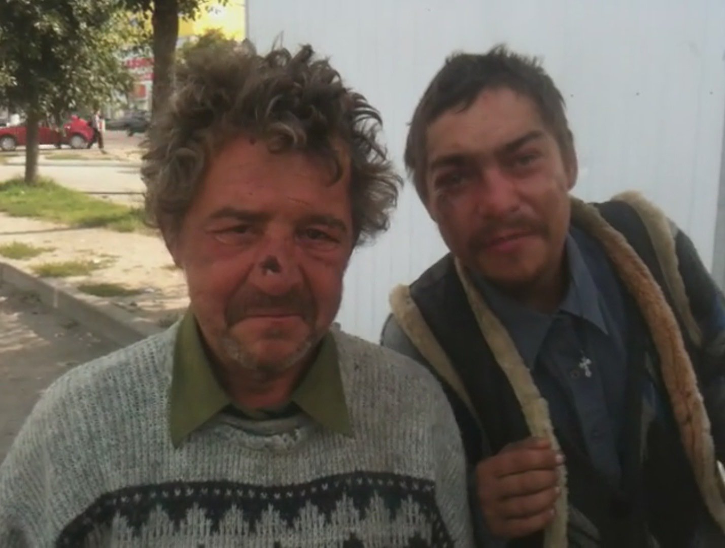 Види бліх і різниця між ними Види бліх і різниця між ними