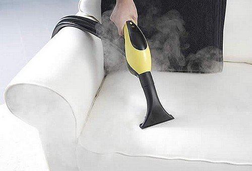 При якій температурі вмирають клопи і гинуть їхні яйця?