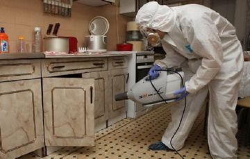 Як вивести клопів з квартири самостійно і без проблем