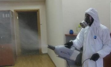 Знищення клопів в Санкт Петербурзі