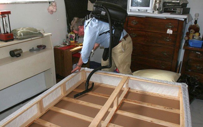 Цькування клопів — Виходимо на стежку війни і перемагаємо!