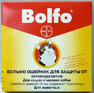 Як діє нашийник від бліх для кішок і як правильно його застосовувати