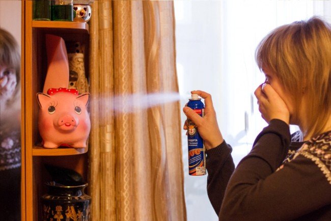 Як кусають блохи і як з ними боротися: кращі методи та поради