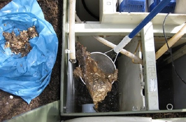 Обслуговування та ремонт септиків Топас: причини несправностей і способи їх усунення своїми руками