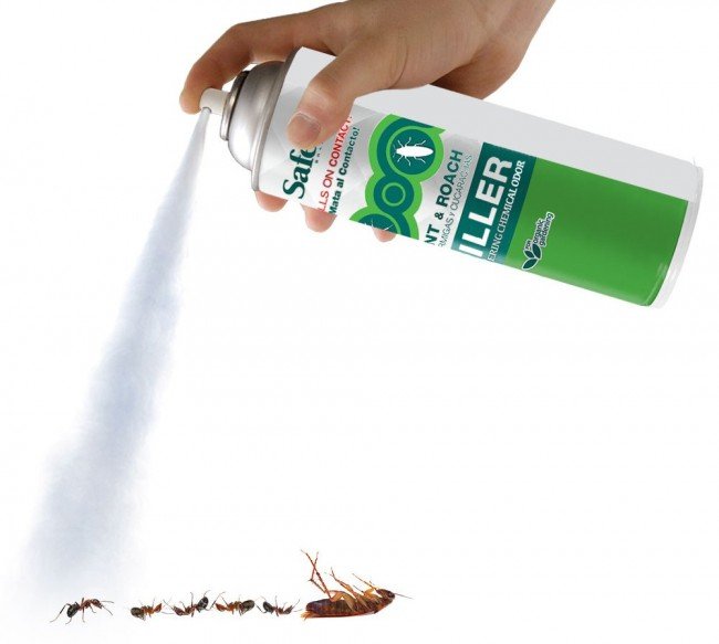 Як вивести тарганів з квартири назавжди — Найкращі методи