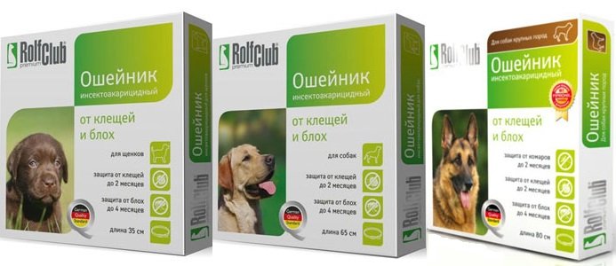 Нашийник від бліх для кішок і собак – огляд кращих пропозицій