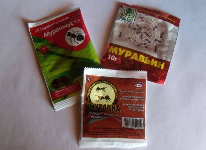 Мурахи на яблуні: як боротися, позбутися, огляд коштів
