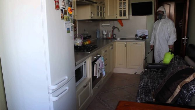 Обробка від тарганів: дезінфекція з викликом на будинок