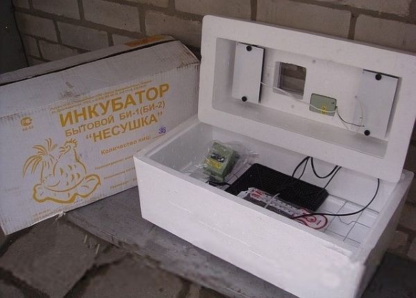 Інкубатор «Несучка»: опис і пристрій, технічні характеристики Інкубатор «Несучка»: опис і пристрій, технічні характеристики