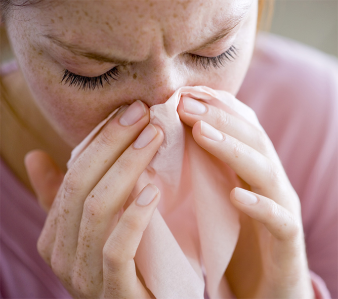 Постільні кліщі: як позбутися в домашніх умовах