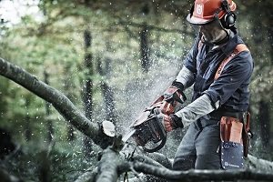 Як правильно вибрати бензопилу: види, характеристики, рекомендації щодо вибору, фото і відео