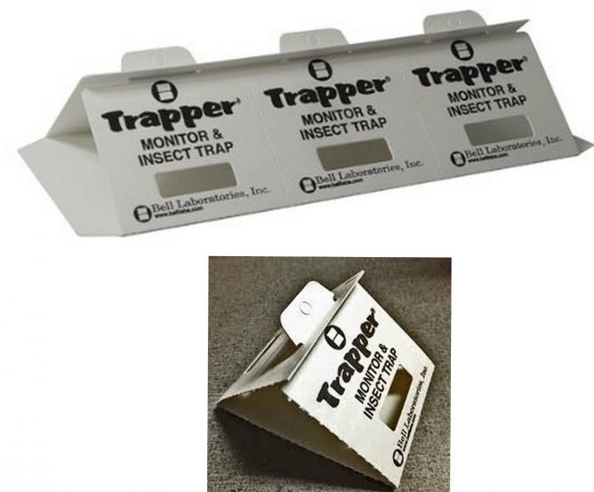 Ефективний засіб від тарганів — вибираємо найкраще