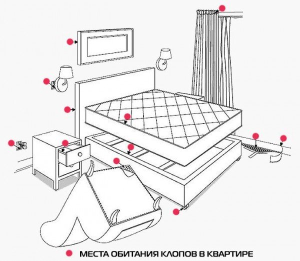 Як позбутися від домашніх клопів в квартирі