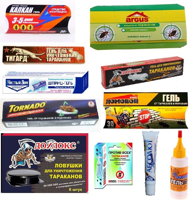 Засіб від тарганів у квартирі — позбавляємося в домашніх умовах