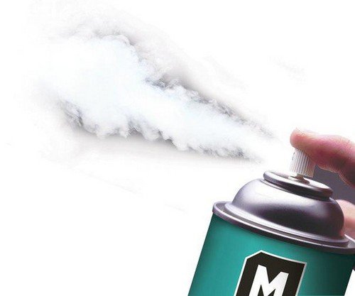 Рудий тарган – основні характеристики та методи боротьби