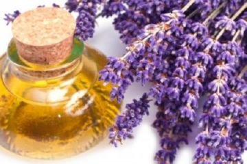 Як вибрати ефективний препарат від вошей і гнид