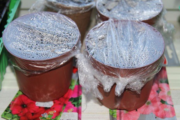 Петунія Джоконда каскадна: індивідуальні особливості сорту, нюанси вирощування та догляду