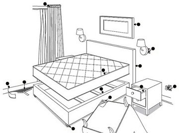 Як виглядають клопи домашні і як їх виявити в квартирі