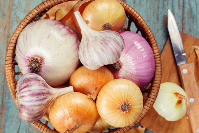 Як вивести вошей у дитини в домашніх умовах — лікування для самих маленьких Як вивести вошей у дитини в домашніх умовах — лікування для самих маленьких