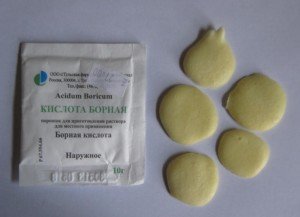 Методи боротьби з тарганами: ефективні способи Методи боротьби з тарганами: ефективні способи