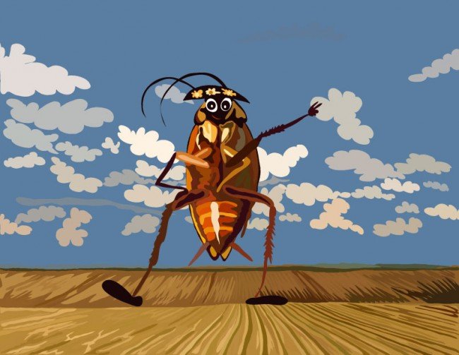 Великі таргани: хороші сусіди чи вороги?