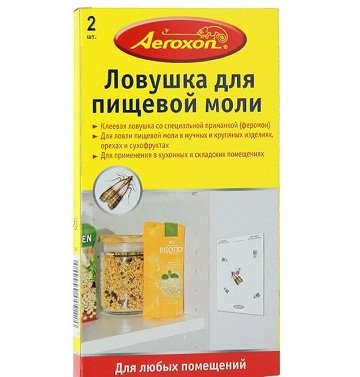 Харчова моль   які засоби допоможуть позбутися від личинок і дорослої комахи