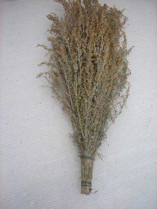 Що робити якщо покусали клопи: як запобігти і лікувати укуси народними методами